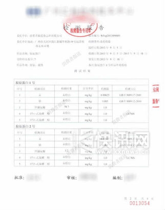 检测结果第一页