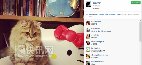 舒淇借爱猫隔空对冯德伦喊好想你