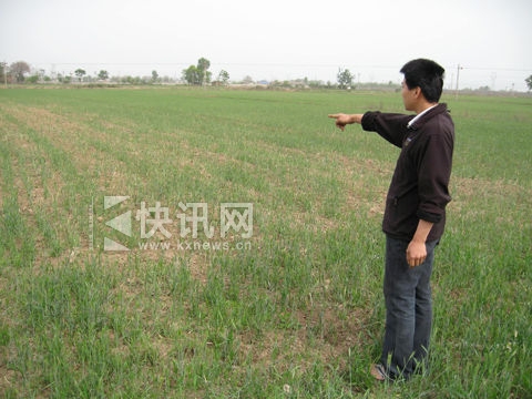 ���������ָ��ũ��˵������Ϊ�˱�������˵���ǽ�������ũ���׻ģ����ڲ�������ﲥ��һЩ���˼��ڵ����ӡ�