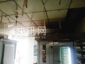 �������ڹ���ճӬ�� 