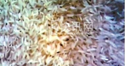 ����Ĵ�������������ͺз�(��Ƶ��ͼ)