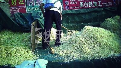 ▲一名工人正在“京YCM988”上用叉子将批发的豆芽装袋 摄/法制晚报暗访组