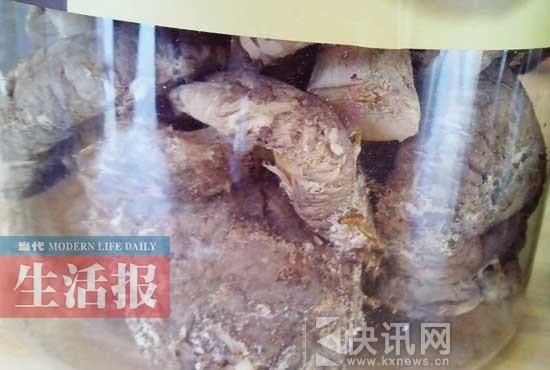 �㹽�ﳤ���ĳ�ǳ����ԡ���ͼƬ��Դ�����磩