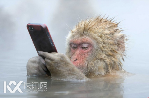 �ձ����ӱ�����Ȫ�����ֻ� û������ô��ɫ��С����(ͼ)