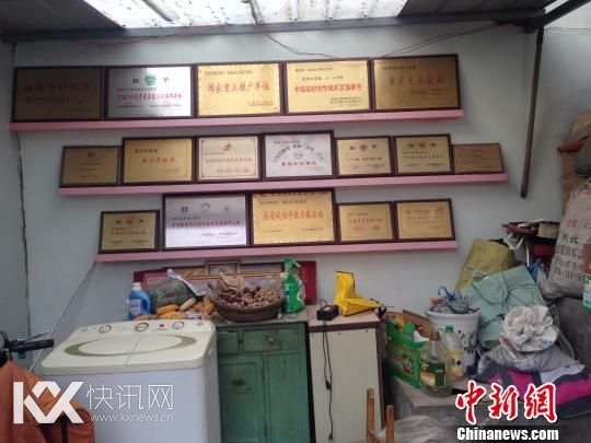 ��Ⱥ��СԺ���ҵĶ�����ڷŵ�ʮ�ั��������ѱ档 ������ ��