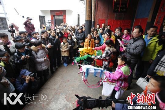 �㽭����������˰�ֻ��ͷ���������˰�������