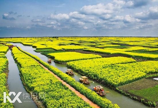 �˻���ֲ�Ͳ˻��Ѿ����ų�750�����ʷ