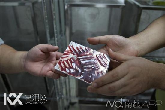 图为用于喂养雌蚊的羊血,是涂抹在金属板上的,并不是活体喂养,而雄蚊只需要糖水就可生存。