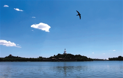 七省区市强化减排保障阅兵蓝天万余企业停减产