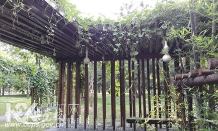 图片来源:中央党校网。 图片来源:中央党校网。