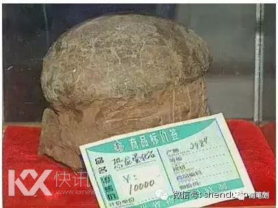 老虎皮、恐龙蛋、象牙!贪官们收这么多奇葩赃物